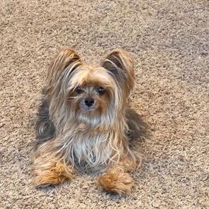 Meet your Posher, Tammy